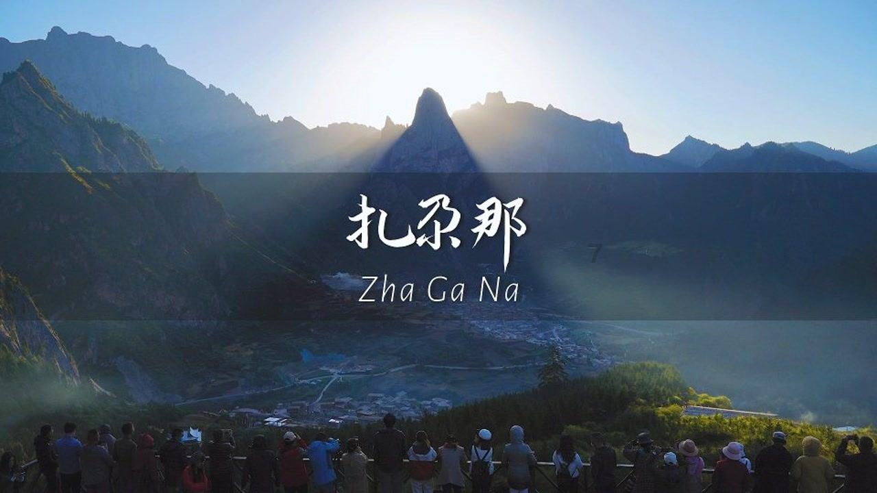 动物帮帮忙保卫家园